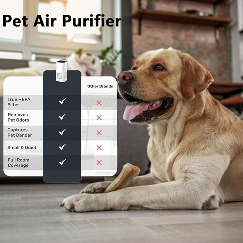 Air filter for dogs cheap